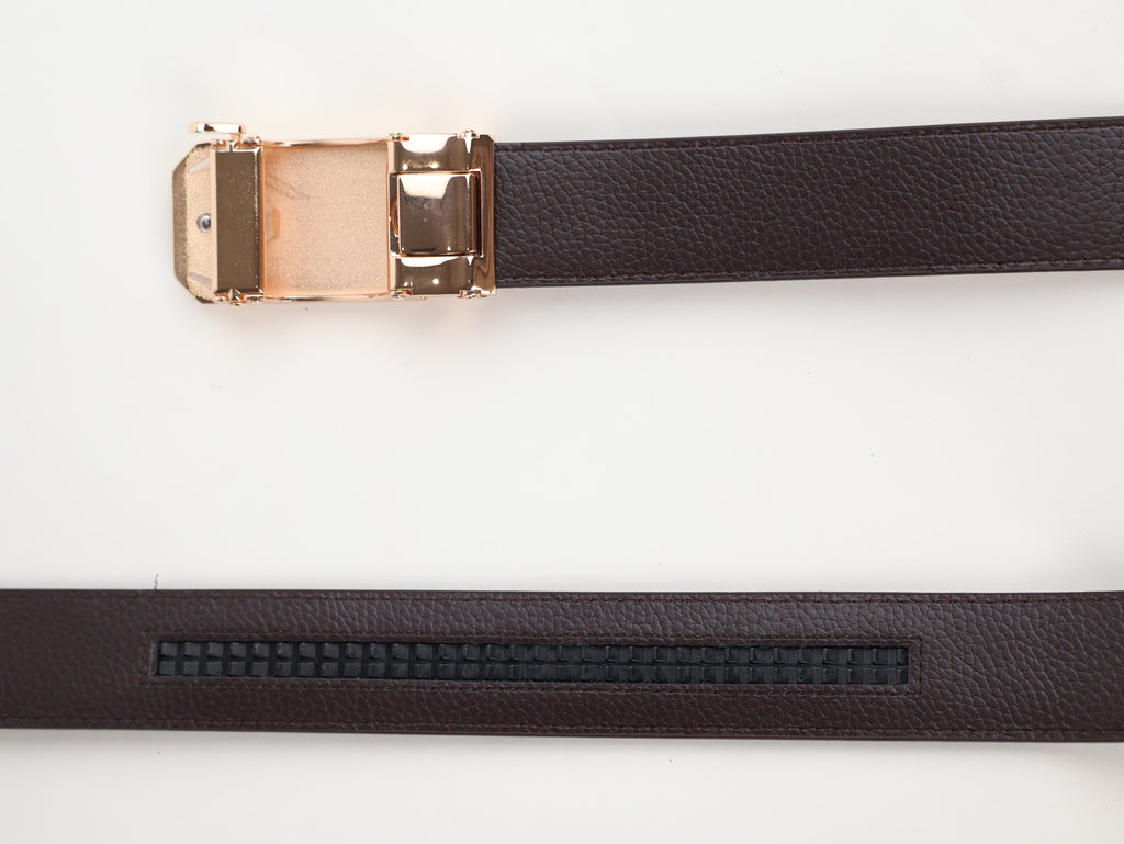 Belt Buckle and Mechanism